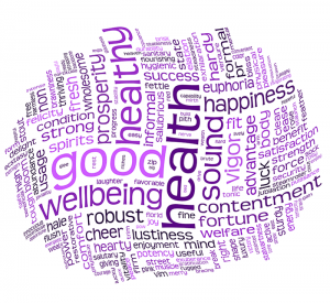 Embrace Wellbeing Ecosystem