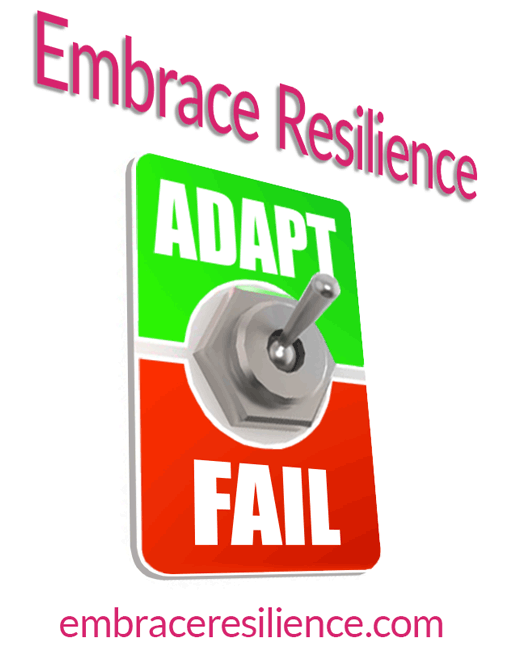Embrace Resilience Online Webinars