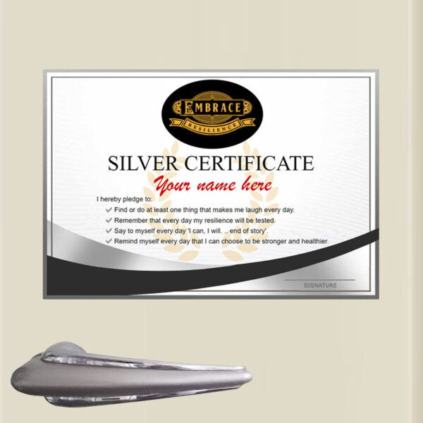 Silver Certificate Fridge Magnet